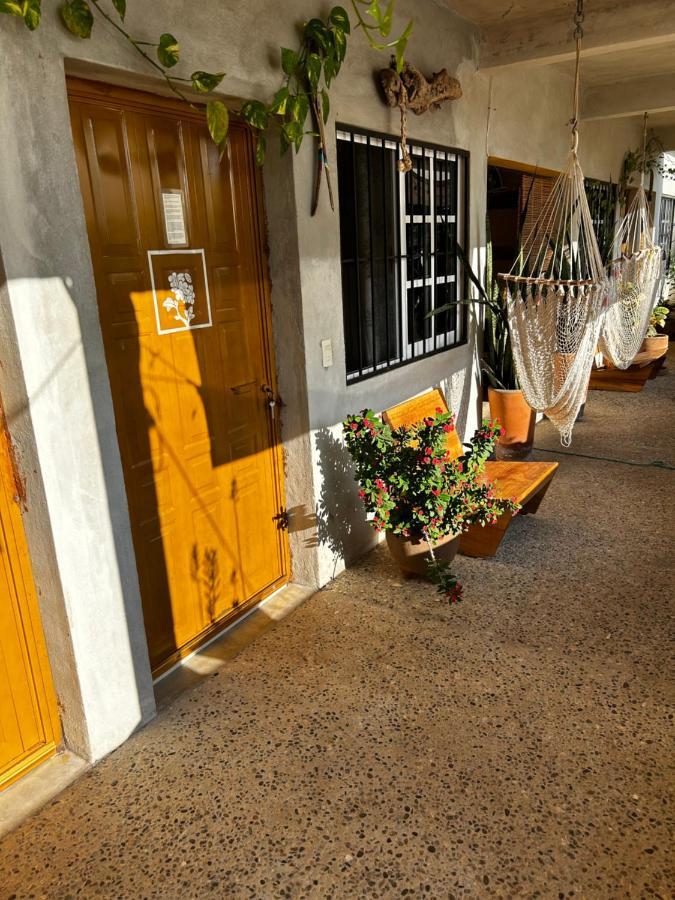 Peaceful Retreat Hidden Villa Pxm - Ac & Starlink Wifi Puerto Escondido  Exterior photo